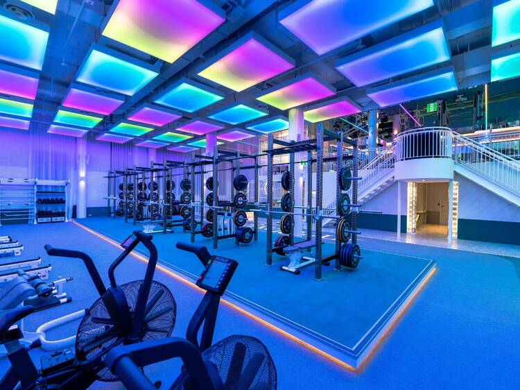 Gyms In Sydney