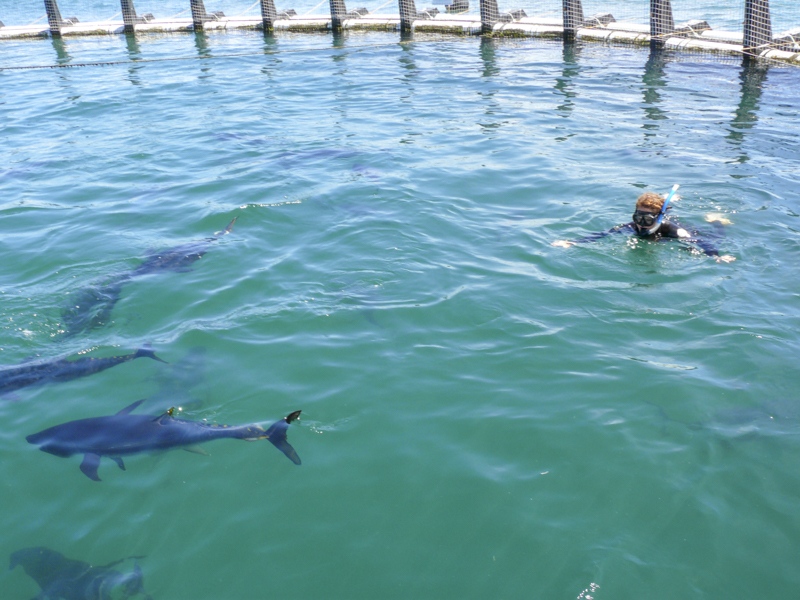 Breathe, Swimming And Fitness, Port Lincoln SA