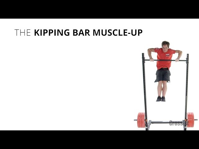 Muscle Up Health And Performance